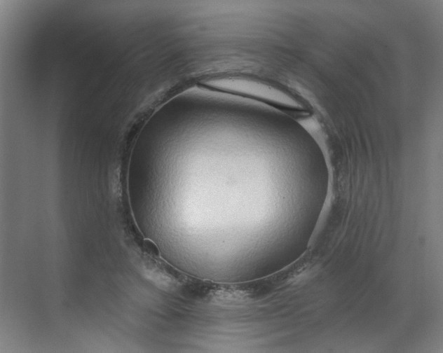 X0000070160403200606091420