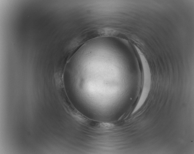 X0000070160429200606091420