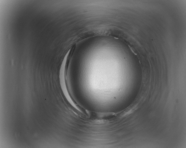 X0000070160432200606091420