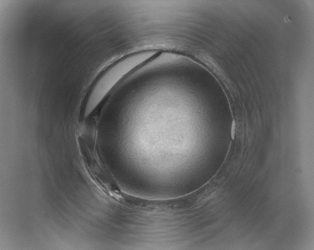 X0000070160434200606091419