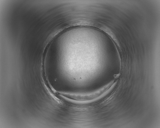 X0000070160437200606091419