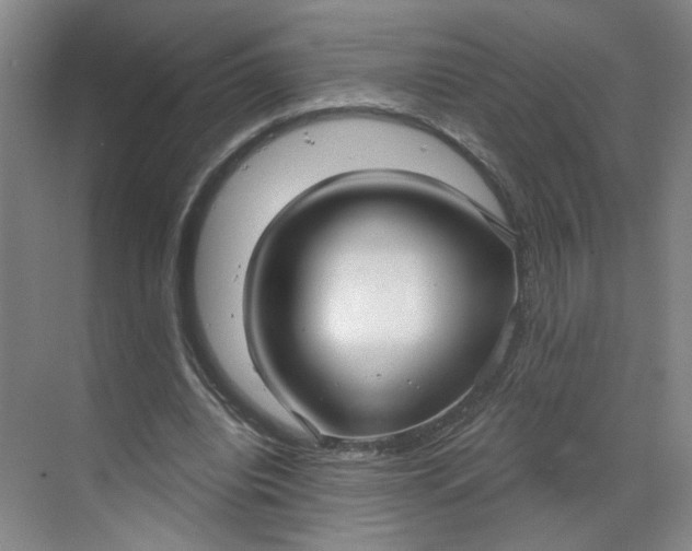 X0000070160440200606091419