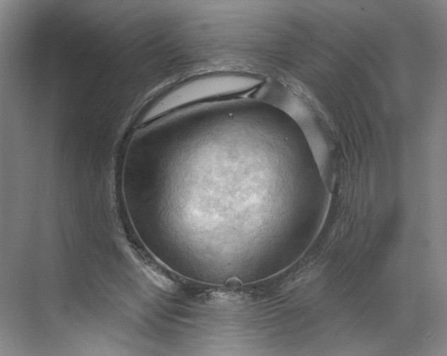X0000070160442200606091419