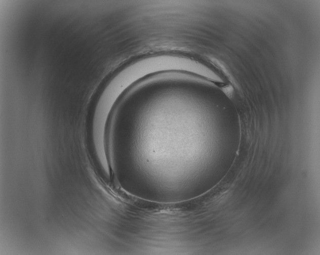 X0000070160447200606091419