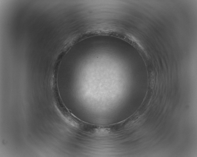 X0000070160451200606091419