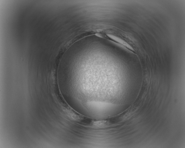 X0000070160461200606091419