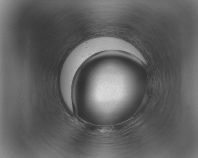 X0000070160466200606091419