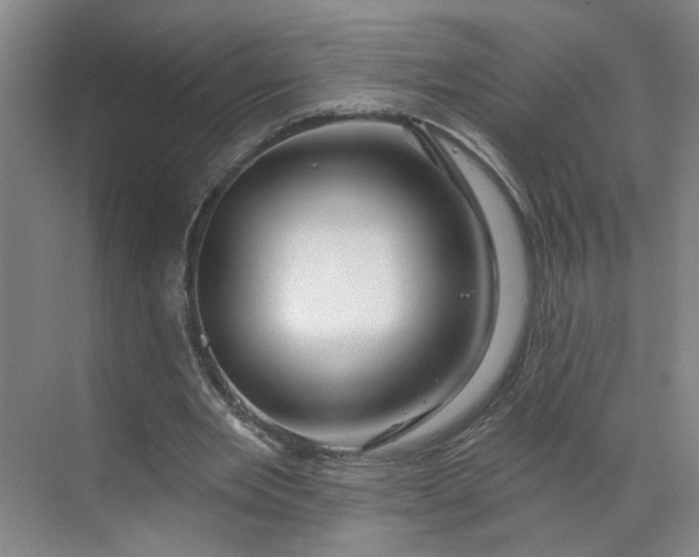 X0000070160485200606091419