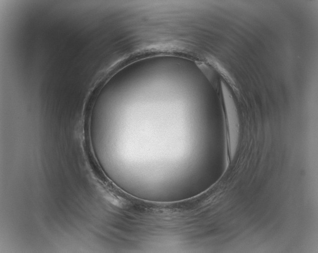 X0000070160486200606091419