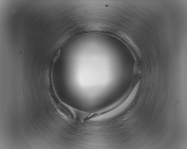 X0000070160489200606091419