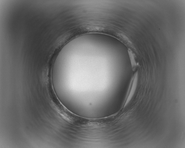 X0000070160490200606091419