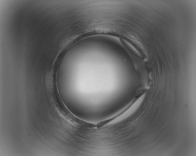 X0000070160492200606091418