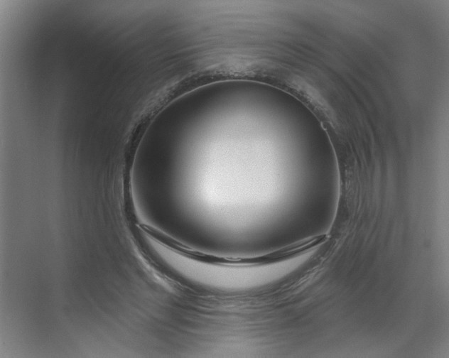 X0000070160493200606091418
