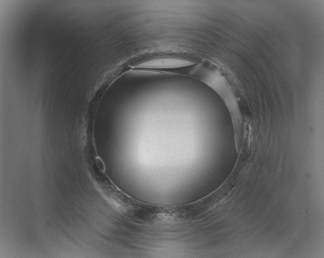 X0000070160496200606091418