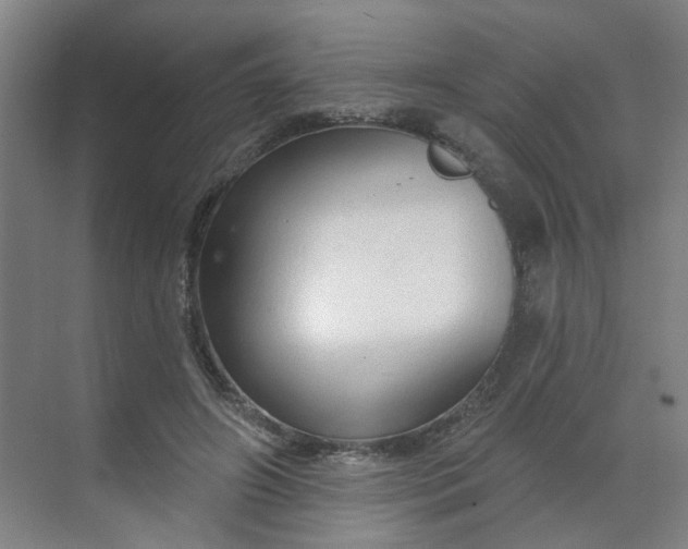 X0000070160498200606091418