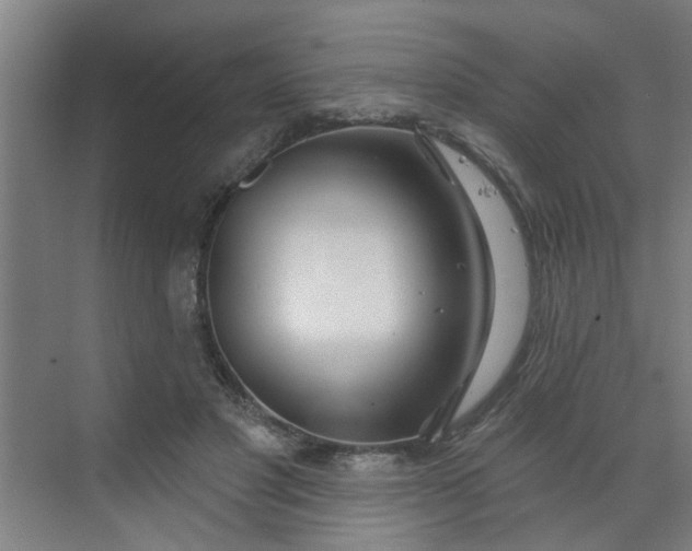 X0000070160501200606091418