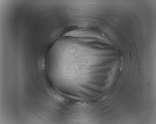 X0000070160502200606091418
