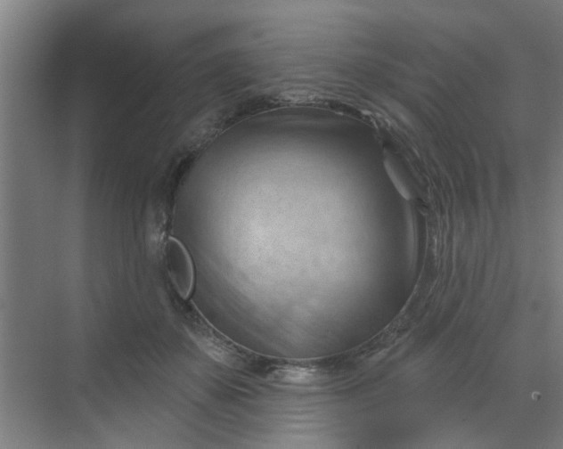 X0000070160507200606091418