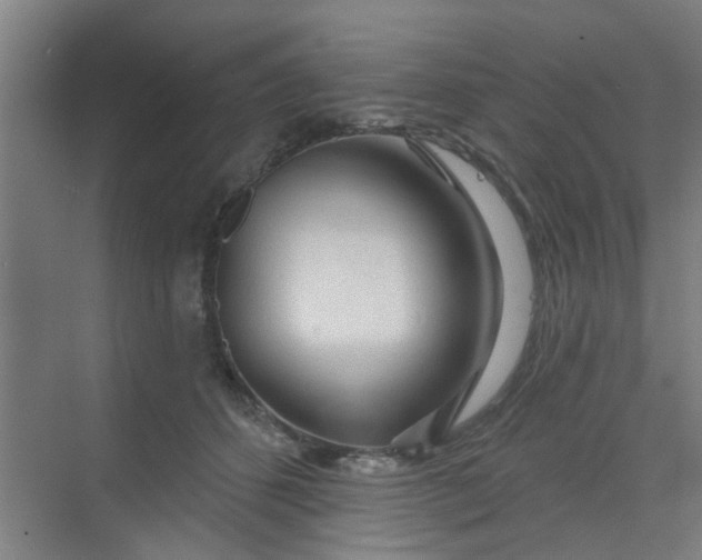X0000070160512200606091418