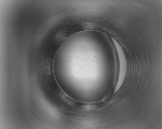 X0000070160525200606091418