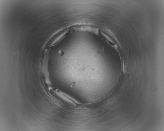 X0000070160531200606091417