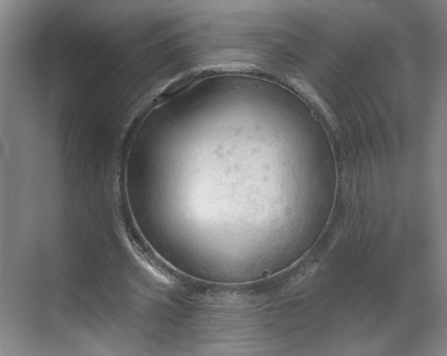 X0000070160533200606091417