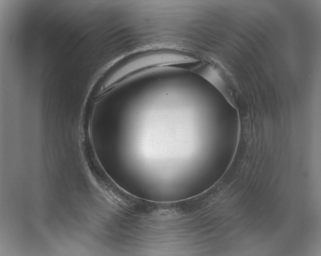X0000070160536200606091417