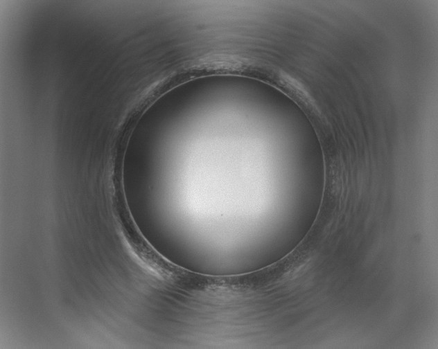 X0000070160538200606091417