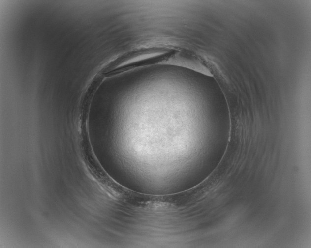 X0000070160539200606091417