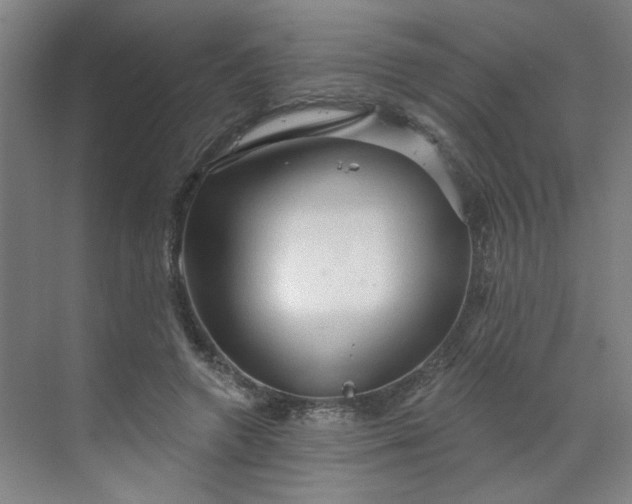X0000070160546200606091417