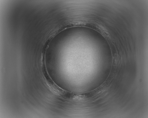 X0000070160550200606091417