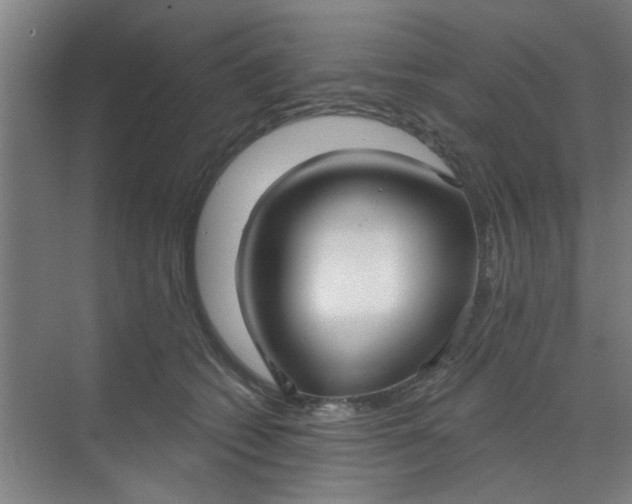 X0000070160562200606091418