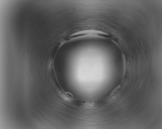 X0000070160574200606091418