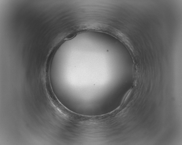 X0000070160578200606091417