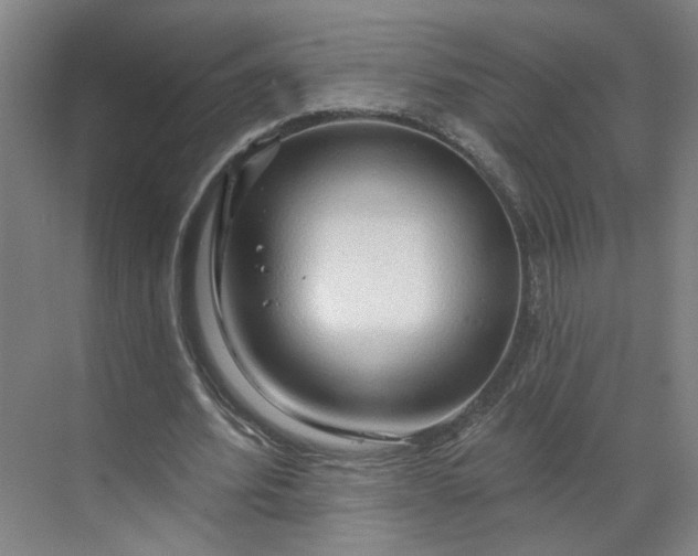 X0000070160580200606091417
