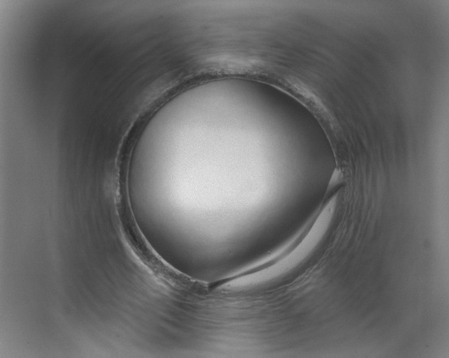 X0000070160582200606091417