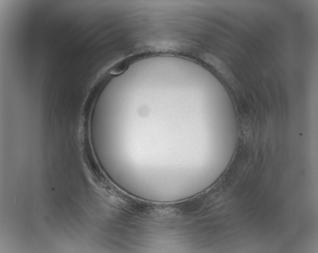 X0000070160583200606091417