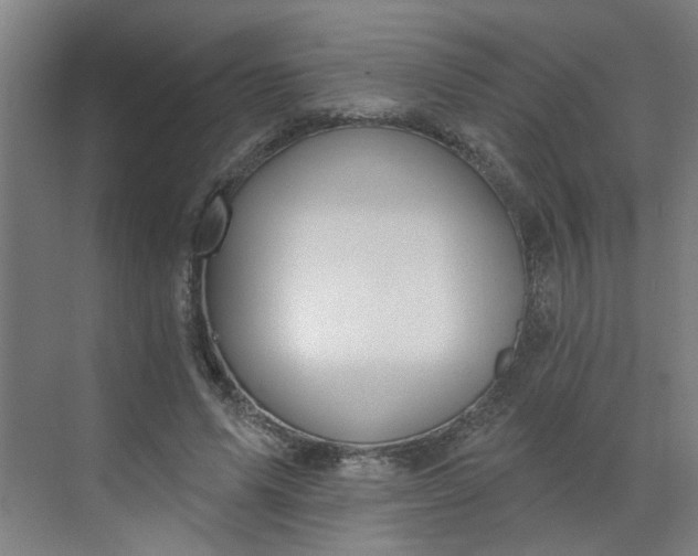 X0000070160591200606091417
