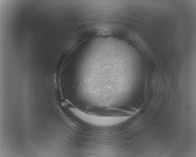 X0000070160598200606091417