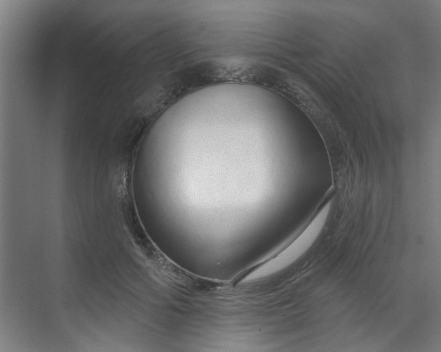 X0000070160602200606091417