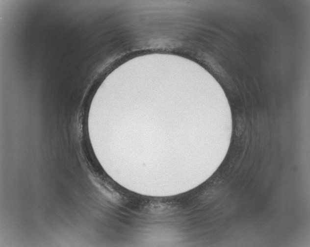 X0000070160632200606091416