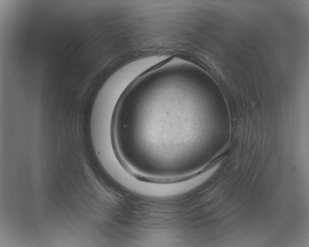 X0000070160643200606091416