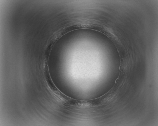 X0000070160645200606091416