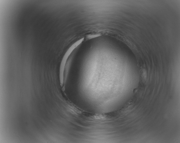 X0000070160668200606091416