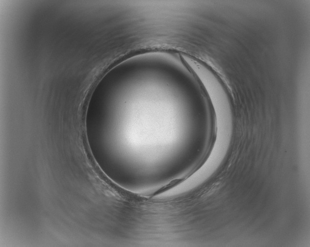 X0000070160673200606091415
