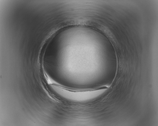X0000070160674200606091415