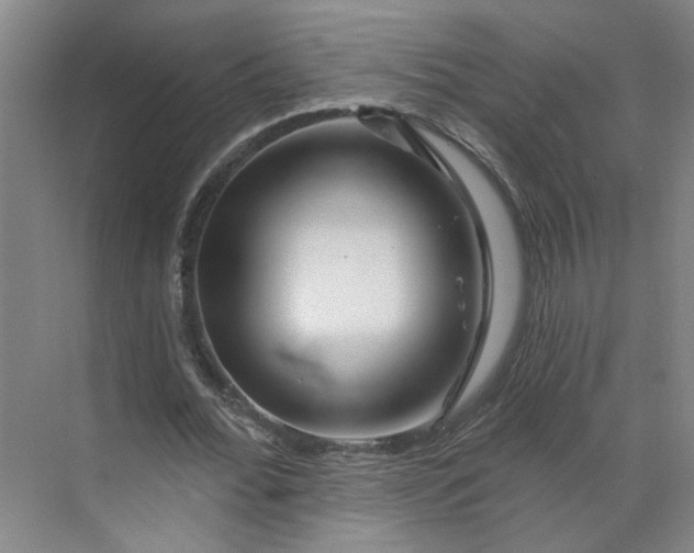 X0000070160676200606091415