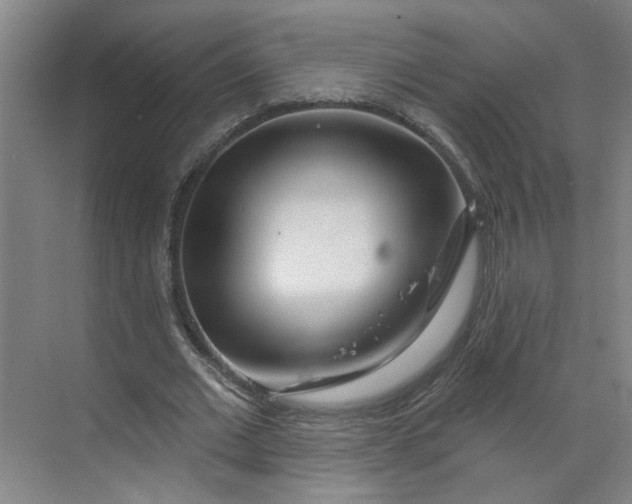 X0000070160677200606091415