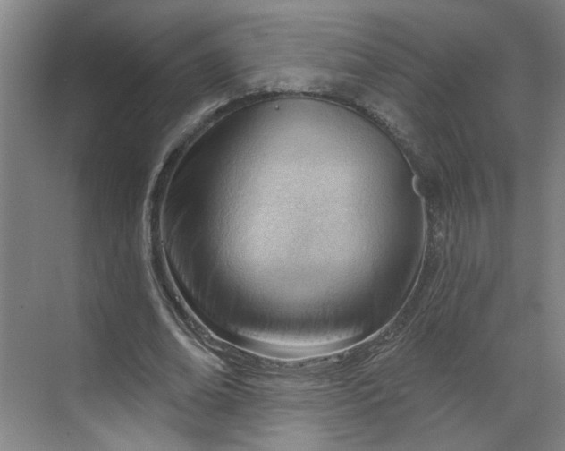 X0000070160678200606091415