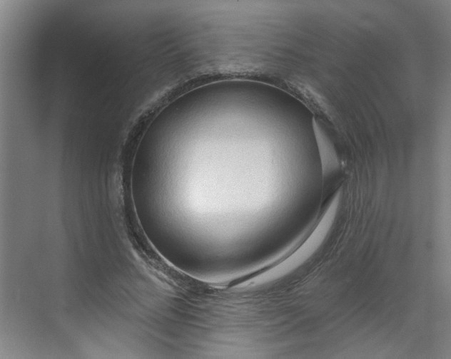 X0000070160684200606091415